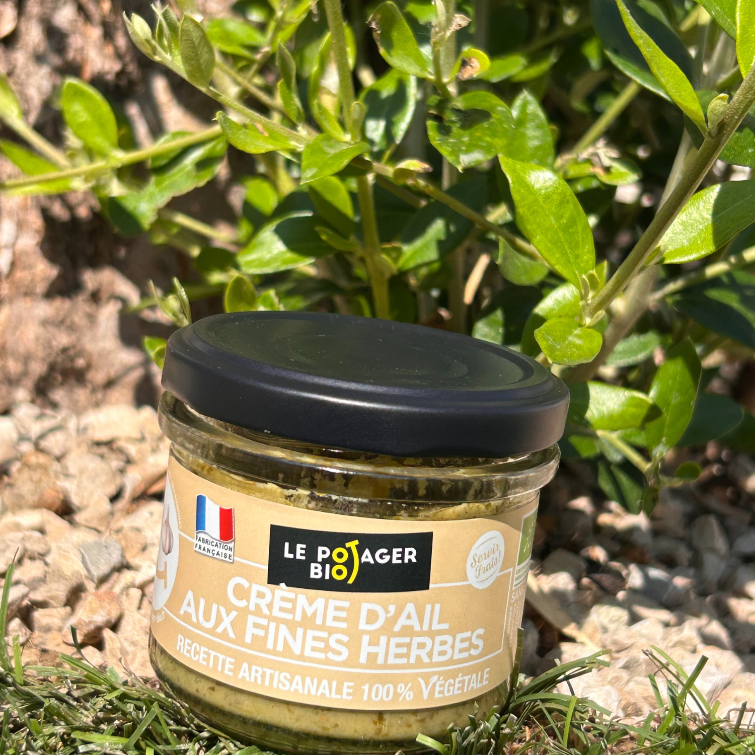 crème d'ail aux fines herbes